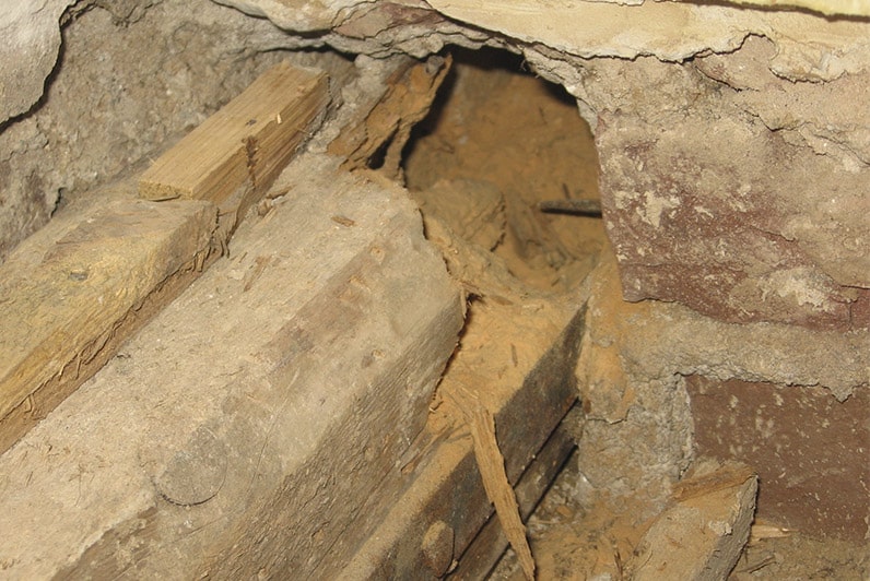 Holzameisen Schaden Holzbalken