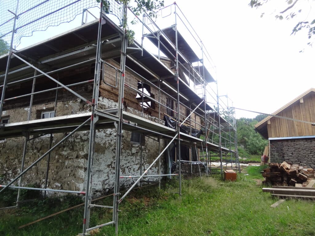 Holzameisen haben ein Gebäude zerstört (1)