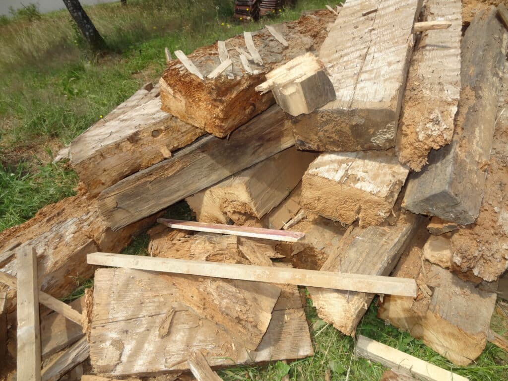 Holzameisen haben ein Gebäude zerstört (3)
